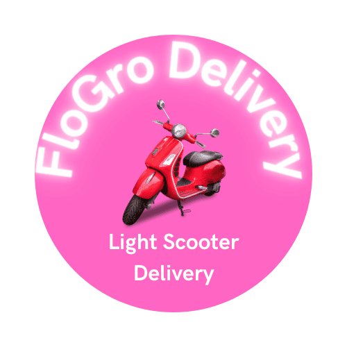FLOGRO DELIVERY